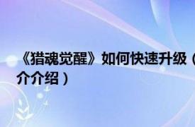 《猎魂觉醒》如何快速升级（猎魂觉醒怎么快速升级相关内容简介介绍）