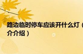 路边临时停车应该开什么灯（路边临时停车开什么灯相关内容简介介绍）