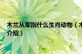 木兰从军指什么生肖动物（木兰从军指的什么生肖相关内容简介介绍）