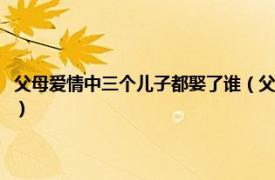 父母爱情中三个儿子都娶了谁（父母爱情里大儿子娶了谁相关内容简介介绍）