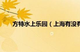 方特水上乐园（上海有没有方特乐园相关内容简介介绍）