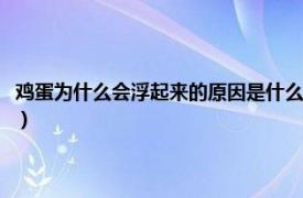 鸡蛋为什么会浮起来的原因是什么（鸡蛋为什么会浮起来相关内容简介介绍）