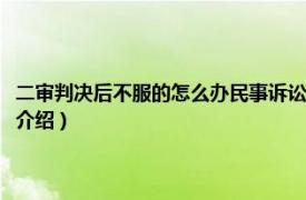 二审判决后不服的怎么办民事诉讼（二审判决后不服的怎么办相关内容简介介绍）