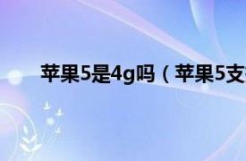 苹果5是4g吗（苹果5支持4G吗相关内容简介介绍）