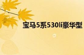 宝马5系530li豪华型（宝马5系523Li豪华型）