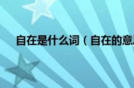 自在是什么词（自在的意思是什么相关内容简介介绍）