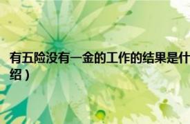 有五险没有一金的工作的结果是什么（有五险没有一金后果相关内容简介介绍）