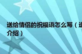 送给情侣的祝福语怎么写（送给情侣的祝福语简短相关内容简介介绍）