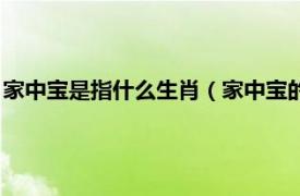 家中宝是指什么生肖（家中宝的生肖有哪几肖相关内容简介介绍）