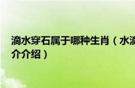 滴水穿石属于哪种生肖（水滴石穿的生肖是什么动物相关内容简介介绍）