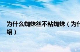 为什么蜘蛛丝不粘蜘蛛（为什么蜘蛛网不粘蜘蛛相关内容简介介绍）