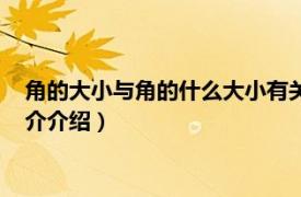 角的大小与角的什么大小有关（角的大小和什么有关相关内容简介介绍）