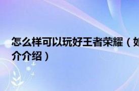 怎么样可以玩好王者荣耀（如何才可以玩好王者荣耀相关内容简介介绍）