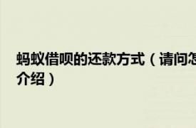 蚂蚁借呗的还款方式（请问怎么在蚂蚁借呗上还款相关内容简介介绍）