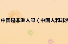 中国是非洲人吗（中国人和非洲人有什么关系相关内容简介介绍）