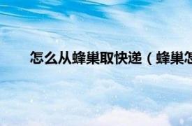 怎么从蜂巢取快递（蜂巢怎么取快递相关内容简介介绍）