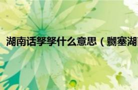 湖南话孥孥什么意思（嬲塞湖南话什么意思相关内容简介介绍）