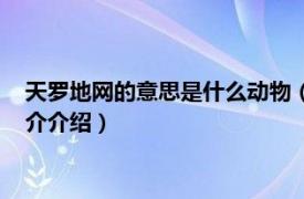 天罗地网的意思是什么动物（天罗地网是指什么动物相关内容简介介绍）