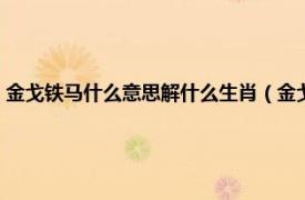 金戈铁马什么意思解什么生肖（金戈铁马代表哪个生肖相关内容简介介绍）