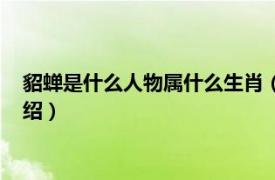 貂蝉是什么人物属什么生肖（貂蝉的属相是什么相关内容简介介绍）