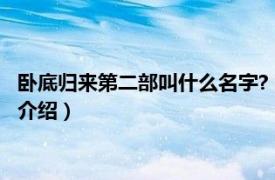 卧底归来第二部叫什么名字?（卧底归来有第二部吗相关内容简介介绍）