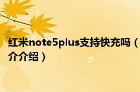 红米note5plus支持快充吗（红米5plus能支持快充吗相关内容简介介绍）