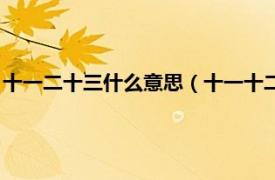 十一二十三什么意思（十一十二十三是什么梗相关内容简介介绍）