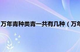 万年青种类青一共有几种（万年青一共有几种相关内容简介介绍）