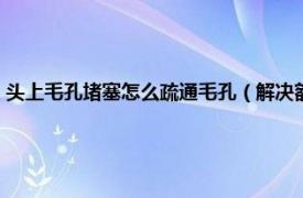 头上毛孔堵塞怎么疏通毛孔（解决额头毛孔堵塞的方法相关内容简介介绍）