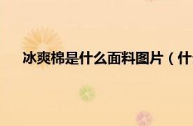 冰爽棉是什么面料图片（什么是冰爽棉相关内容简介介绍）