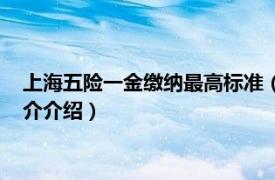 上海五险一金缴纳最高标准（上海五险一金缴纳标准相关内容简介介绍）