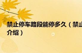 禁止停车路段能停多久（禁止停车路段可以停多久相关内容简介介绍）