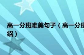 高一分班唯美句子（高一分班写什么留言最伤感相关内容简介介绍）