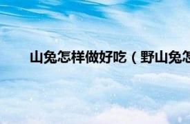 山兔怎样做好吃（野山兔怎么做好吃相关内容简介介绍）