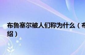 布鲁塞尔被人们称为什么（布鲁塞尔被称为什么相关内容简介介绍）