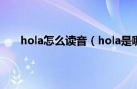 hola怎么读音（hola是哪国语言相关内容简介介绍）