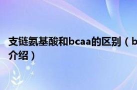 支链氨基酸和bcaa的区别（bcaa支链氨基酸的作用相关内容简介介绍）