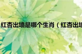 红杏出墙是哪个生肖（红杏出墙指的什么生肖相关内容简介介绍）