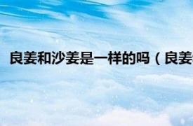 良姜和沙姜是一样的吗（良姜和沙姜的区别相关内容简介介绍）