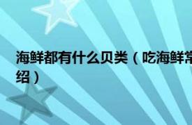 海鲜都有什么贝类（吃海鲜常见的贝类有哪几种相关内容简介介绍）