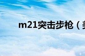 m21突击步枪（美国M21狙击步枪）