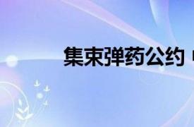 集束弹药公约 中国（集束弹药）