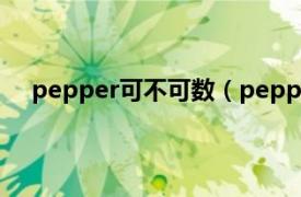 pepper可不可数（pepper可数吗相关内容简介介绍）