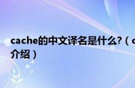 cache的中文译名是什么?（cache中文译名是什么相关内容简介介绍）