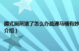 蹲式厕所堵了怎么办疏通马桶有妙招（老式蹲厕堵了怎么疏通相关内容简介介绍）