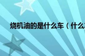 烧机油的是什么车（什么车烧机油相关内容简介介绍）