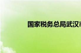 国家税务总局武汉市税务局第一税务分局