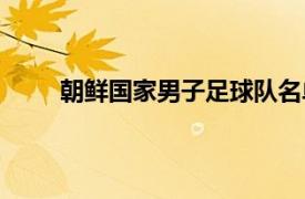 朝鲜国家男子足球队名单（朝鲜国家男子足球队）