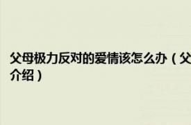 父母极力反对的爱情该怎么办（父母强烈反对的爱情该怎么办相关内容简介介绍）