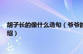 胡子长的像什么造句（爷爷的胡子好像什么造句相关内容简介介绍）